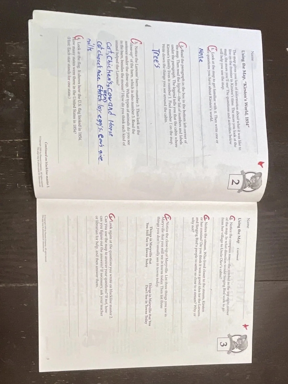 American Girl set activity